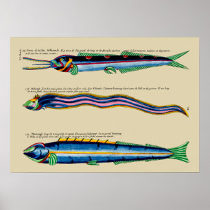 Poster Trois poissons maigres sur n'importe quelle affich