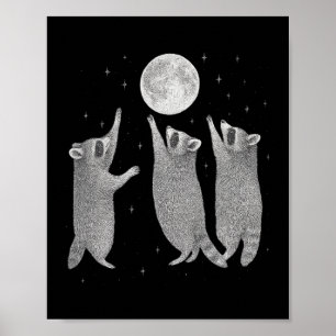 Poster Trois Raccoons Et Moon Vintage Raccoon Mème Hallo