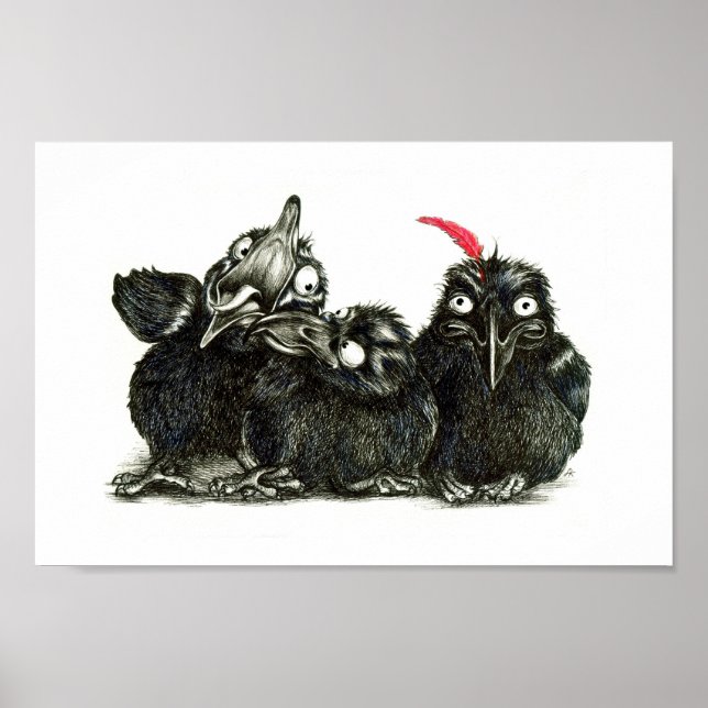 Poster Trois ravens amusants - une plume rouge (Devant)