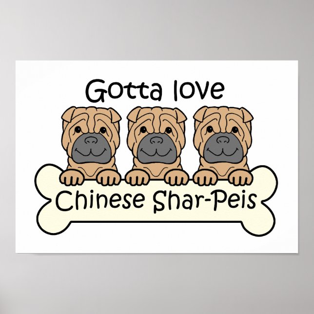 Poster Trois Shar-Peis chinois (Devant)