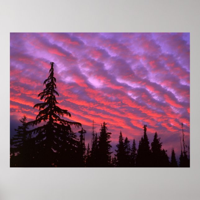 Poster Trois Soeurs Wilderness, Oregon (Devant)