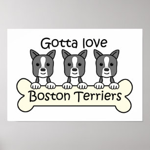 Poster Trois terriers de Boston