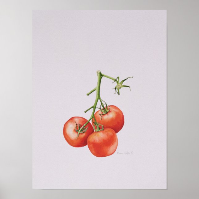 Poster Trois tomates sur la vigne 1997 (Devant)