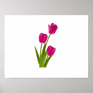 Poster Trois Tulipes roses se tournant vers l'affiche dro