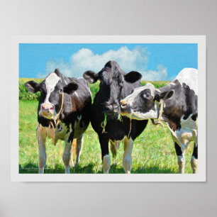 Poster Trois vaches Holstein