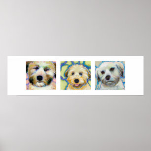 Poster Trois Wheaten Terrier peintures amusant chien art