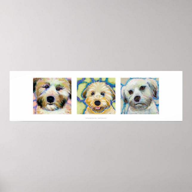 Poster Trois Wheaten Terrier peintures amusant chien art  (Devant)