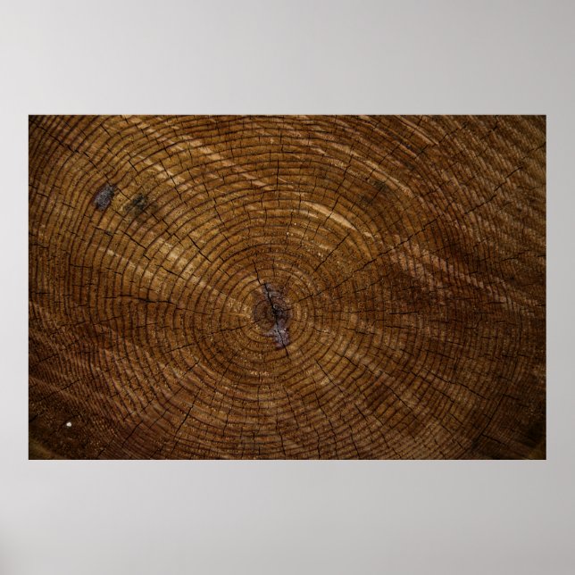 Poster tronc d'arbre Brown (Devant)