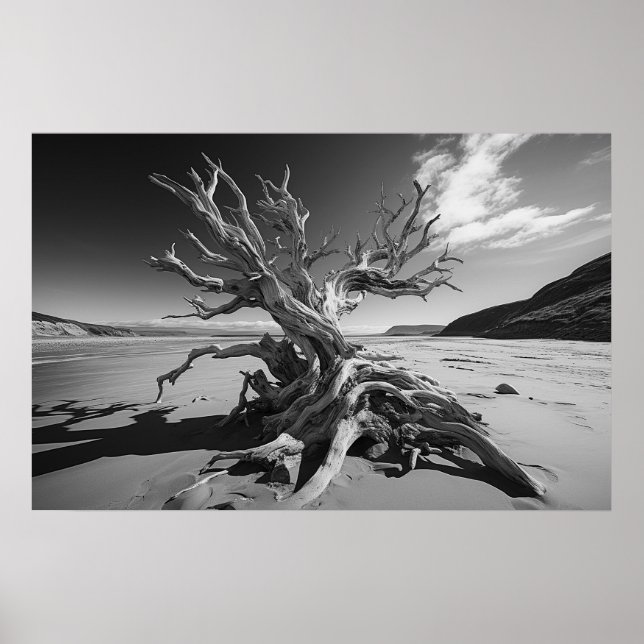 Poster Tronc d'arbre en bois de chaudière photo B&W (Devant)