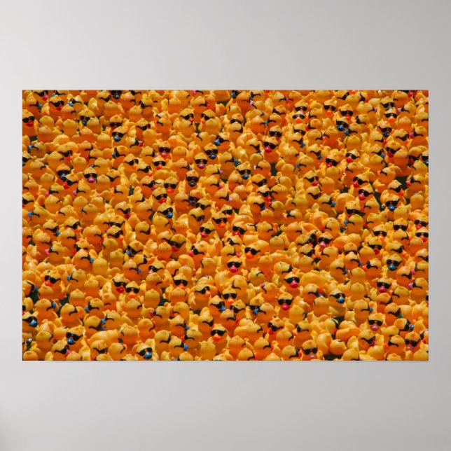 Poster Trop de canards (Devant)
