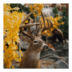 Poster Trophée Deer