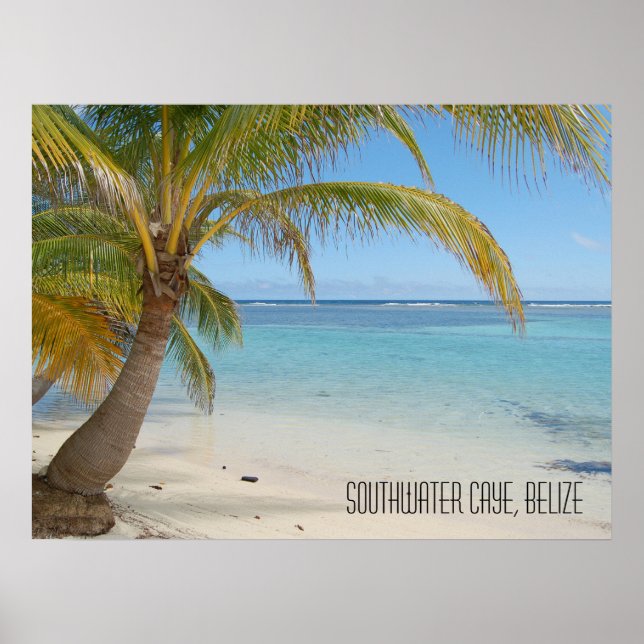 Poster Tropical Caribbean Island Belize Beach and Palms (Devant)