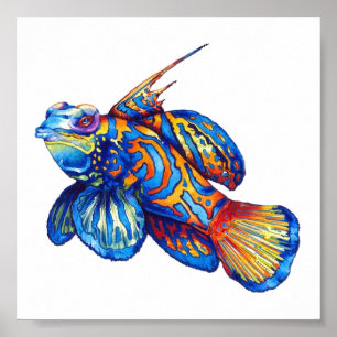 Poster - Tropical Fish