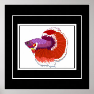 Poster-Tropical Fish Poster