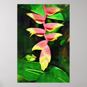 Poster Tropical Heliconia - Lobster Claw 
