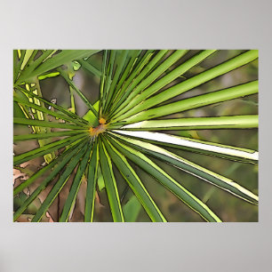 Poster Tropical Palm Black Outline Art