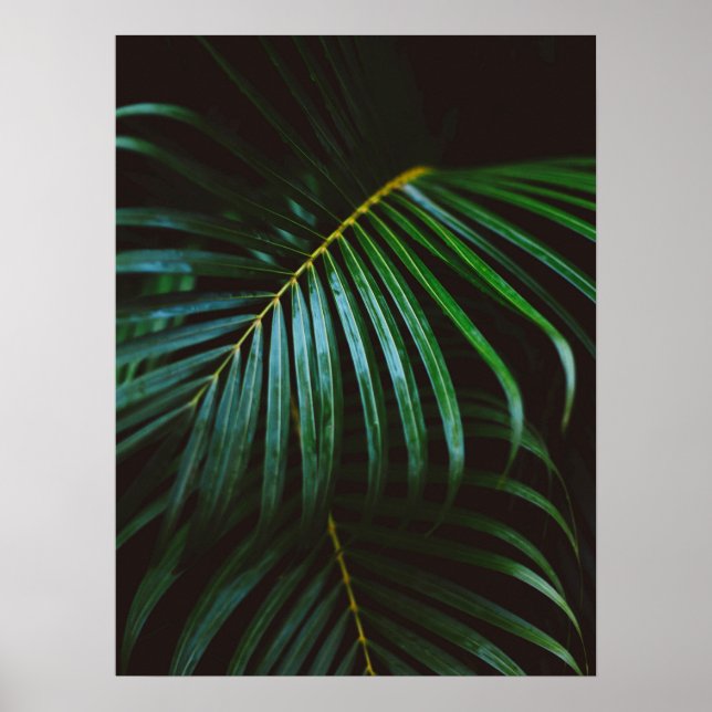 Poster Tropical Palm Leaf Green Relaxant méditatif (Devant)