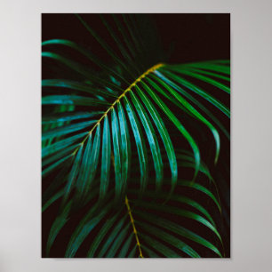 Poster Tropical Palm Leaf Green Relaxant méditatif