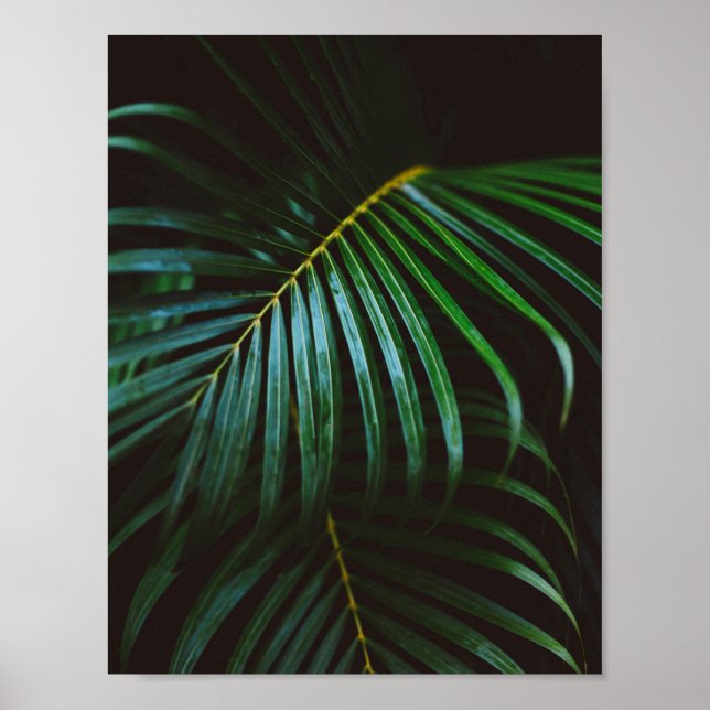 Poster Tropical Palm Leaf Green Relaxant méditatif (Devant)
