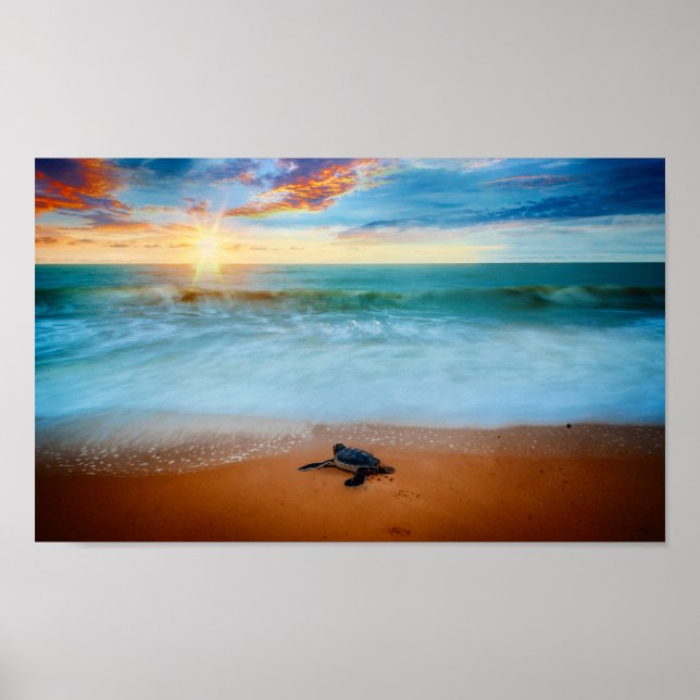 Poster Tropical Sunset Sea Turtle Sandy Beach (Devant)