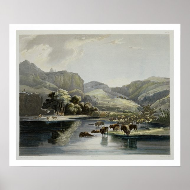 Poster Troupeaux de bisons et d'élans sur le Missouri sup (Devant)