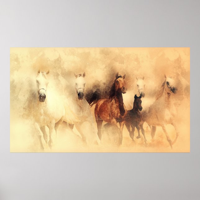 Poster Trousse De Chevaux (Devant)