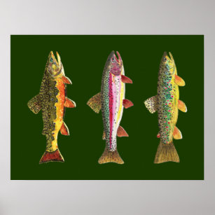 Poster Trout fishing 