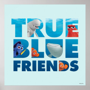 Poster Trouver Dory   Vrais amis bleus