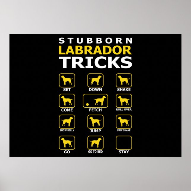 Poster Trucs de chiens du Labrador têtus Drôle (Devant)