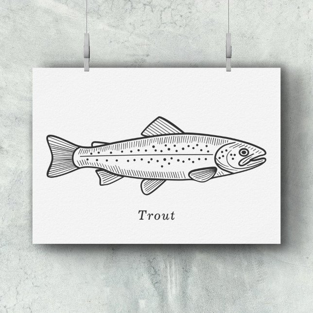Poster truite (Trout Wall Art)