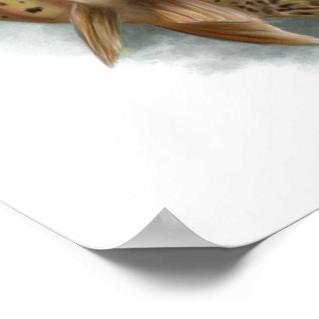 Poster Truite à gorge jaune (Coin)