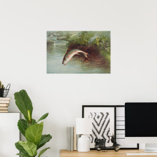 Poster Truite de ruisseau Leaping par S.A. Kilbourne Pois