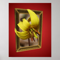 Truite Lily Fleurit Des Limites Art