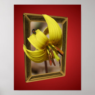 Poster Truite Lily Fleurit Des Limites Art