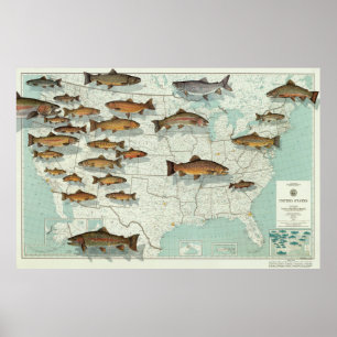 Poster Truite Map (1999) des Etats-Unis