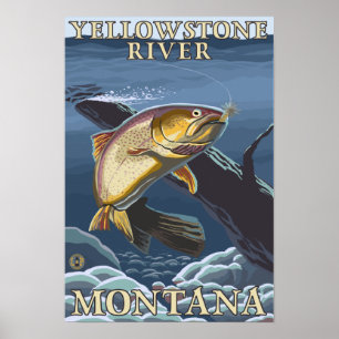Poster Truite pêchant la section transversale 3