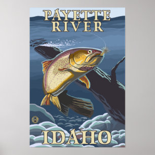 Poster Truite pêchant la section transversale - rivière