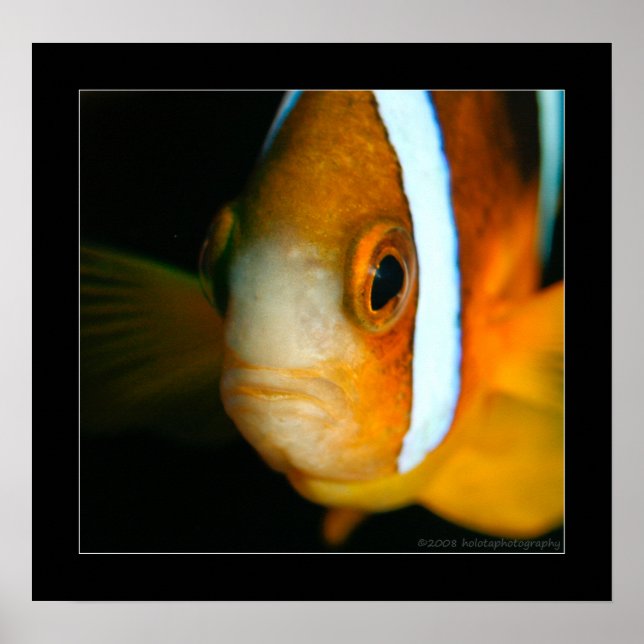 Poster Truk Yamagiri Maru 009bbcr (Devant)