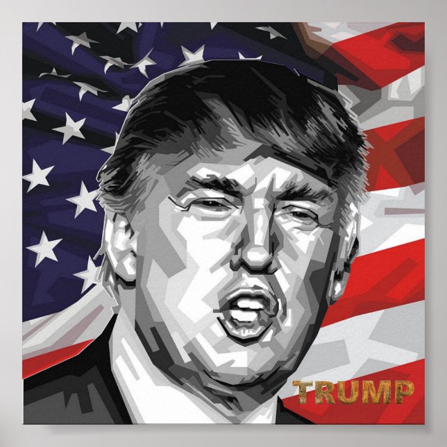 Poster Trump (Devant)