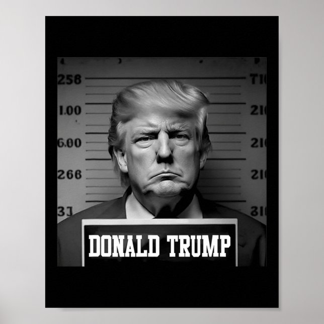 Poster Trump 2024 Mugshot Trump Mug Shot Président (Devant)
