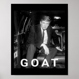 Poster Trump 2024 Young Trump