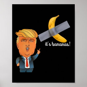 Poster Trump, c'est la banane (pour l'échelle) Starship F