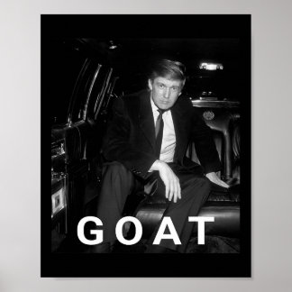Poster Trump Goat cadeau républicain conservateur Trump 2