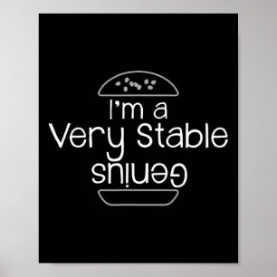 Poster Trump Je Suis Un Génie Très Stable Et J'Aime Les B