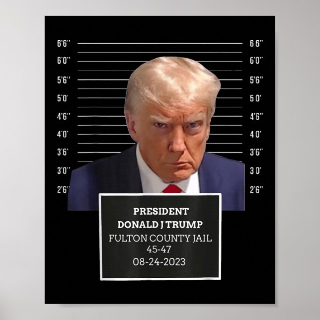 Poster Trump Mug Shot Président Donald J Trump Mugshot 20 (Devant)
