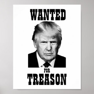 Poster Trump - Trahison Recherchée de l'affiche