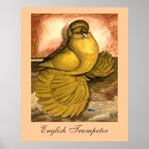 Poster Trumpeter Pigeon