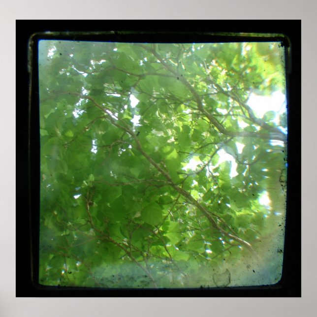 Poster TTV feuille (Devant)