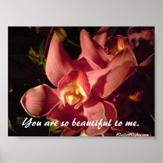 Poster Tu es si belle pour moi.