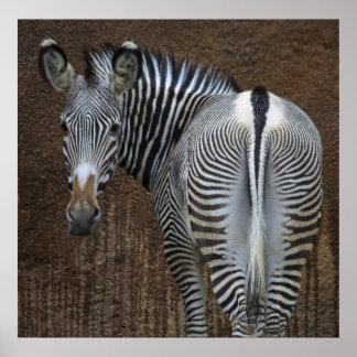 Poster Tu Me Regarde ?